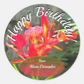 Sticker Rond Vallarta Anniversaire Beauté 1583 (Devant)
