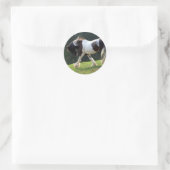 Sticker Rond Vanner Tsigane (Sac)