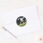 Sticker Rond Vanner Tsigane (Enveloppe)