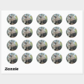 Sticker Rond vautour (Feuille)