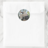 Sticker Rond vautour (Sac)