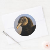 Sticker Rond vautour (Enveloppe)