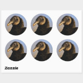 Sticker Rond vautour (Feuille)