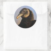 Sticker Rond vautour (Sac)