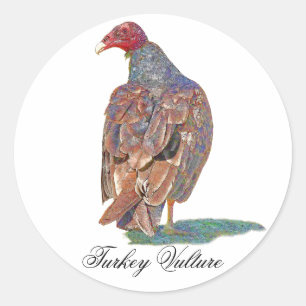 STICKER ROND VAUTOUR DE TURQUIE
