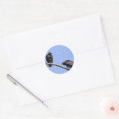 Sticker Rond Vautours noirs (Enveloppe)