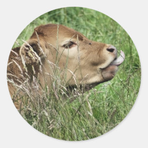 STICKER ROND VEAU MIGNON