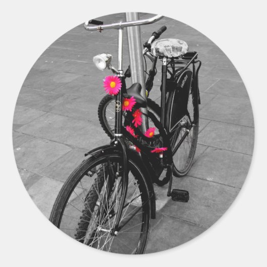 Sticker Rond Vélo Oxford (Devant)