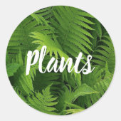 STICKER ROND VERT FERN PRINTEMPS (Devant)