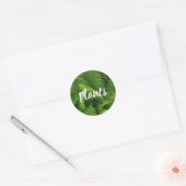 STICKER ROND VERT FERN PRINTEMPS (Enveloppe)