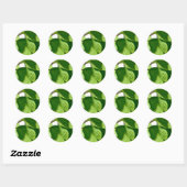 Sticker Rond Vert feuilles (Feuille)