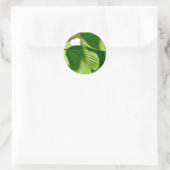 Sticker Rond Vert feuilles (Sac)
