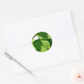 Sticker Rond Vert feuilles (Enveloppe)