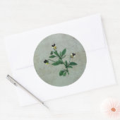 Sticker Rond Vert gris avec Violas botaniques (Enveloppe)