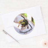 Sticker Rond Veste jaune (Vespulae) (Enveloppe)