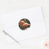 Sticker Rond Vestige de Flamants roses (Enveloppe)