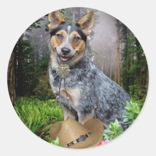 Sticker Rond Vêtements et cadeaux de chien de bétail de l'Austr