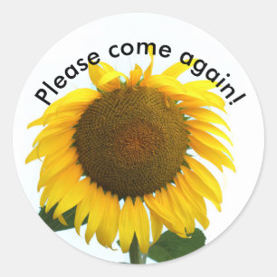 Sticker Rond Veuillez revenir