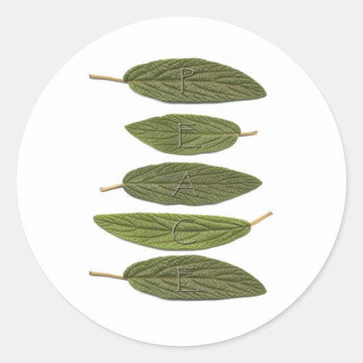 Sticker Rond VIBIRNUM LA PAIX feuille (Devant)