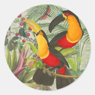 Sticker Rond Vibrant Tropical Toucan Birds Art Exotic Jungle