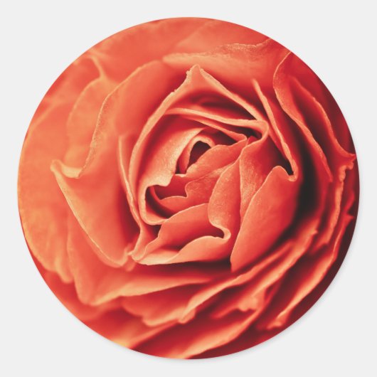 Sticker Rond vie rose (Devant)