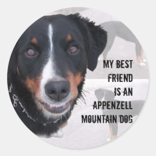 Sticker Rond Vignette autocollante "Appenzeller Sennenhund"