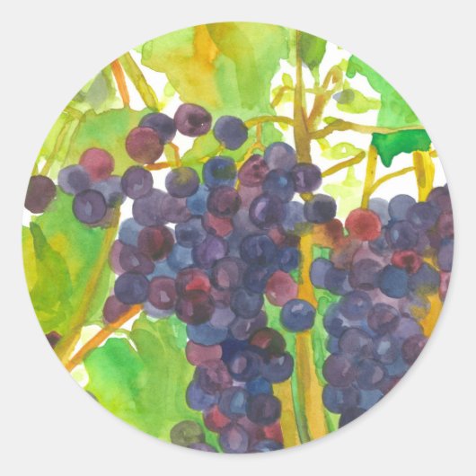 Sticker Rond Vignoble de raisins Fruit de la vigne Automne (Devant)