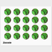 Sticker Rond Vin d'ivoire sur palmier 5 (Feuille)