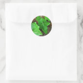 Sticker Rond Vin d'ivoire sur palmier 5 (Sac)