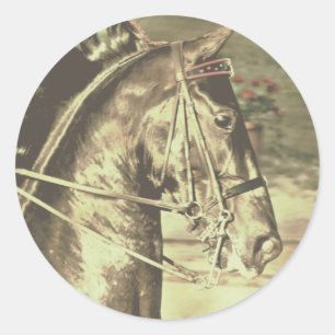 Sticker Rond Vintage américain Saddlebred Faux