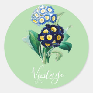 Sticker Rond Vintage Cowslip Primrose botanique