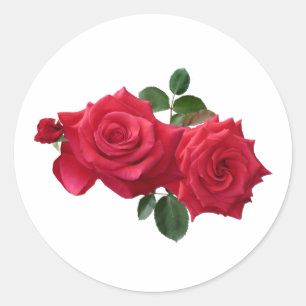 Sticker Rond Vintage deux roses rouges avec feuille classique r