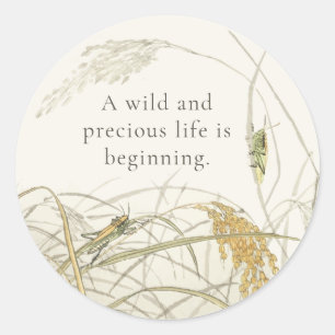 Sticker Rond Vintage Grasshopper Baby Shower Classique Rond St
