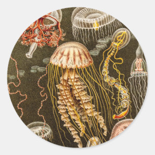 Sticker Rond Vintage Jellyfish Antique Jelly Poisson Modèle