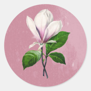 Sticker Rond Vintage Magnolia Chanson Vêtements et cadeaux