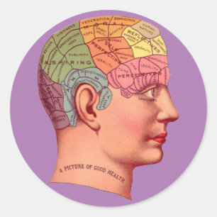 Sticker Rond Vintage Phrenologie Chef Mineur Carte du cerveau