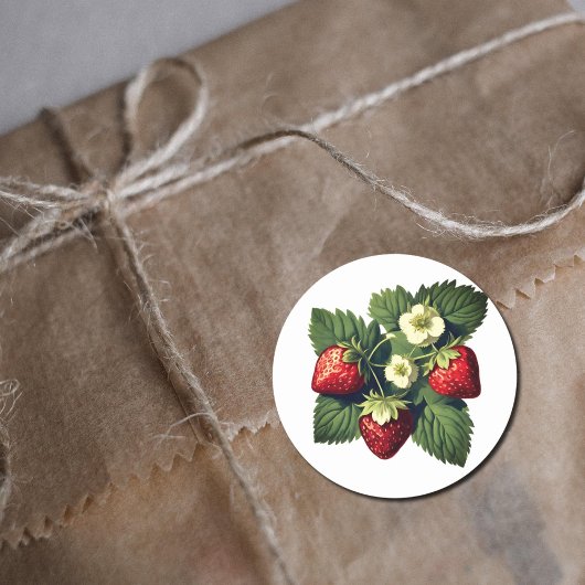 Sticker Rond Vintage strawberries