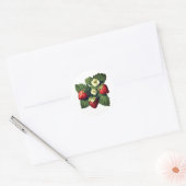 Sticker Rond Vintage strawberries (Enveloppe)