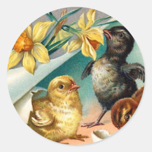 Sticker Rond Vintages poussins aux fleurs jaunes Salutation de