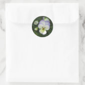 Sticker Rond Viola Pansy ~ Crème lavande (Sac)