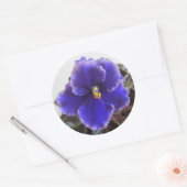 Sticker Rond Violet africain en floraison (Enveloppe)
