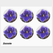 Sticker Rond Violet africain en floraison (Feuille)