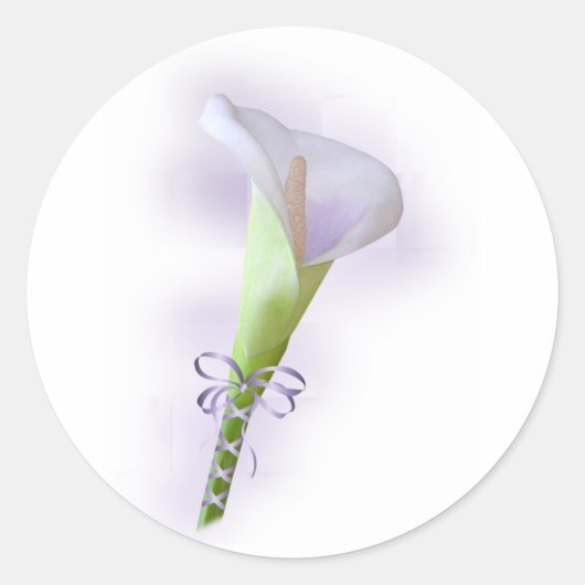 Sticker Rond Violet Calla Lily (Devant)