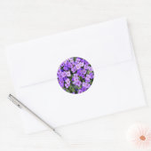 Sticker Rond Violets (Enveloppe)