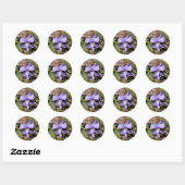 Sticker Rond Violette à pieds d'oiseau avec bluets (Feuille)