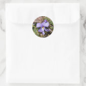 Sticker Rond Violette à pieds d'oiseau avec bluets (Sac)