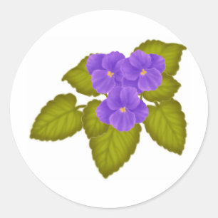 Sticker Rond Violettes africaines pourpres
