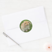 STICKER ROND VISAGE BUNNY (Enveloppe)