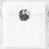 Sticker Rond Visage de fourrure (Sac)