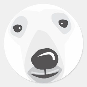 Sticker Rond Visage de l'ours polaire